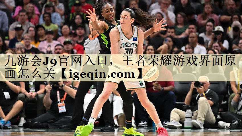 MILE米乐官网入口，王者荣耀游戏界面原画怎么关